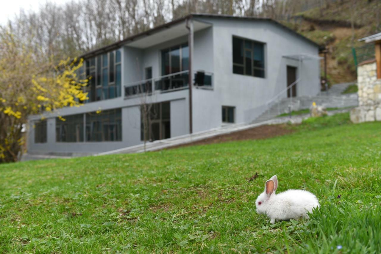 Greenwood Hotel Dilijan Εξωτερικό φωτογραφία